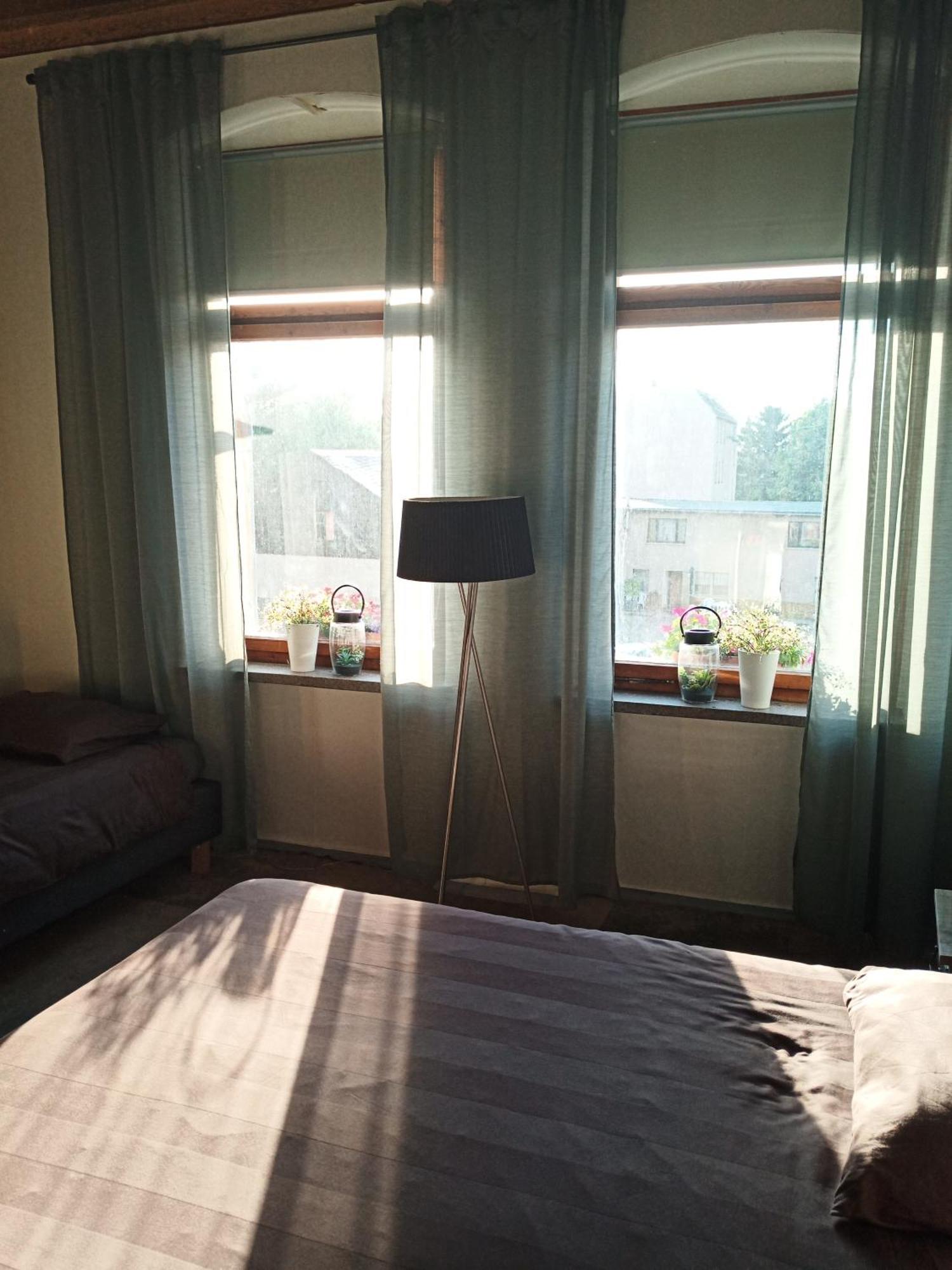 エルスニッツ Zur Friedrichsruh Bed & Breakfast エクステリア 写真